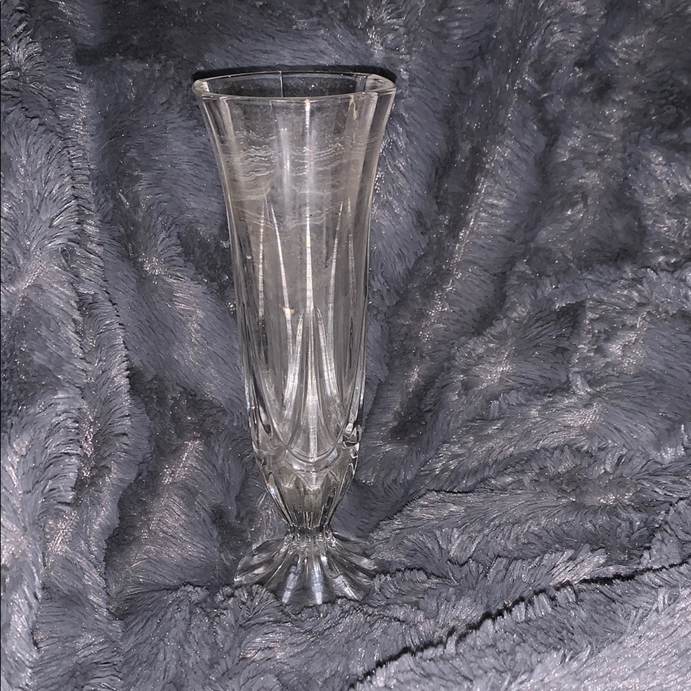 Elegant Clear Glass Vase